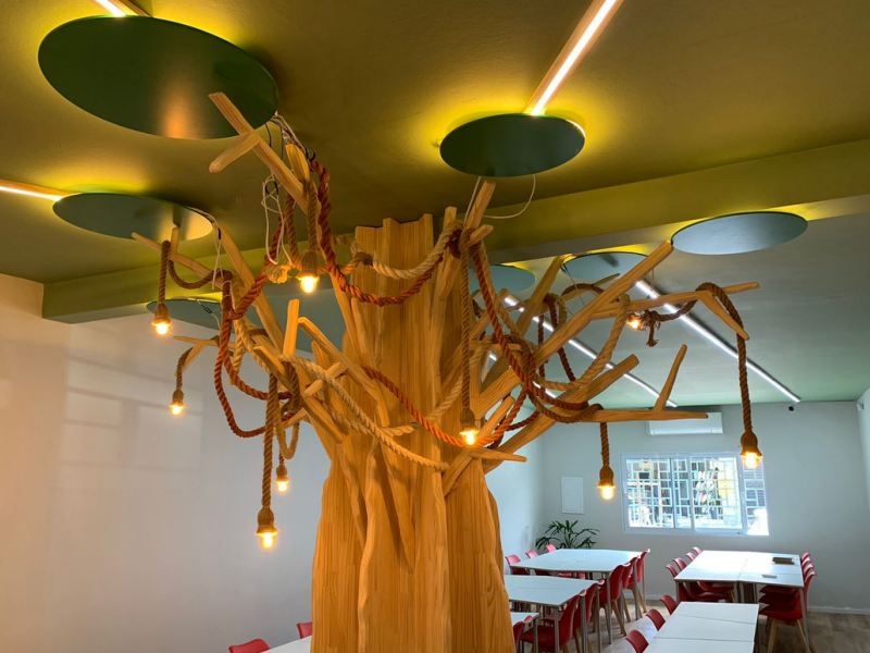 Sala Da Árvore